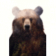iCanvas King Of The Forest by Andreas Lie Canvas Print, Multi, 18x12 ALE220-1PC3-18x12