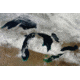 iCanvas Satellite View Of Snow Across Wisconsin, Michigan, And Canad by Stocktrek Images Canvas Print, Multi, 18x12 TRK1627-1PC3-18x12