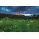 iCanvas Wildflowers And Mountain Majesty by William Sherrell Canvas Print, Multi, 18x12 SHL237-1PC3-18x12