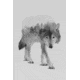 iCanvas Wolf In The Woods II in B&amp;W by Andreas Lie Canvas Print, Multi, 18x12 ALE138-1PC3-18x12