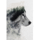 iCanvas Wolf Stare by Andreas Lie Canvas Print, Multi, 18x12 ALE189-1PC3-18x12
