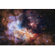 iCanvas WR 20a And Surrounding Stars, Westerlund 2 by NASA Canvas Print, Multi, 18x12 NAS54-1PC3-18x12