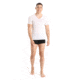 Icebreaker Anatomica Short Sleeve V Neck T-Shirt - Men's, Snow, Large, IB103661104L