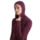 Icebreaker Merino Blend 300 RealFleece Descender Long Sleeve Zip Hoodie - Womens