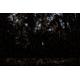 Killer Instinct Deadstop Decocking Crossbow Bolt, 1066