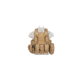Lancer Tactical 1000D Nylon Strike Tactical Vest, Coyote Brown, CA-303KN