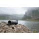 Leica Televid HD 20-60x65mm Spotting Scope Kit