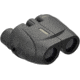 Leupold BX-1 Rogue 8x25 mm Porro Prism Compact Binocular, Black, 59220