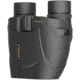 Leupold BX-1 Rogue 8x25 mm Porro Prism Compact Binocular, Black, 59220