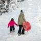 Lifetime Products 48in Premium Snow Sled, 2 Pack, Red, 91181