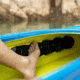 Lifetime Products Charger 100 Sit-Inside Kayak