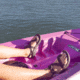 Lifetime Products Tamarack 100 Sit-On-Top Kayak w/Paddle