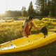 Lifetime Products Volt 85 Sit-On-Top Kayak