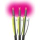 Lumenok Crossbow Bolt Pink Moon 20 in, Black, Pack of 3, BECC3P