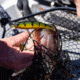 Lunkerhunt Impact Distress 6F Bait, Jumbo, 3.5in &amp; 1/2 oz, IMJKB04