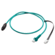 MasterVolt CZone Drop Cable
