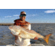 Mojo Sportswear Company Performance Hoodie - Mens, Redfish, 2XL, Redfish - 2XL - PRF Hoodie