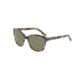 Morgan 207170 Progressive Brown Frame Brown Lens