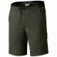 Mountain Hardwear AP Scrambler Short - Men's, Peatmoss, 32 1708321213-32-9