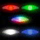 Nite Ize SpotLit Rechargeable Collar Light, Disc-O Tech, PSLGSR-07S-R6