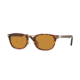 Persol PO3127S Single Vision Prescription Sunglasses PO3127S-24-33-50 - Lens Diameter 50 mm, Frame Color Havana