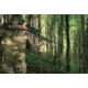 Primos Hunting Trigger Stick Gen 3 Jim Shockey Tall Tripod,24-62in,Truth Camo,Clam, 65815