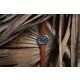 ProTek 3100 Titainum USMC Field Watch