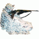 Quaker Boy Outline Buster Blind - Snow 84003