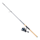 Quantum Merit Spinning Rod and Reel Combo