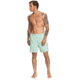 Quiksilver Waterman Balance 18 Volleys Shorts - Mens, Lichen, Large, EQMJV03057-GEK0-L