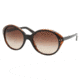 Ralf Lauren RL8069 #526013 - Top Black-Havana Brown Gradient Frame