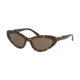 Ralph Lauren RL8176 Sunglasses 500373-55 - , Brown Lenses