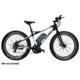 Rambo Bikes Decal kit for R750 and R35, Chrome, R120-7