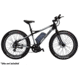 Rambo Bikes Decal kit for R750 and R35, Silver, R120-6