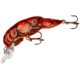 Rebel Lures Rebel Teeny Wee Crawfish Bait 1 1/2in, 1/10 oz, Floating, Cajun Crawdad, F7735