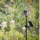 Reveal by Tactacam Adjustable Camera Stake, Black, R-ACS-V1