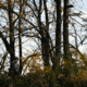 Rivers Edge Treestands Standard 2-man Ladder Stand, Black RE640