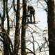 Rivers Edge Treestands Standard 2-man Ladder Stand, Black RE640