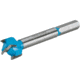Roman Carbide 13/16in Carbide Forstner Bit DC1849