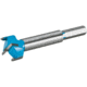 Roman Carbide 1in Carbide Forstner Bit DC1852