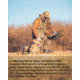 Rothco X Bear Archery Fred Bear Camo Every Day Hoodie, XL, 19070-XL