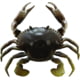 Savage Gear 3D TPE Crab Soft Bait, Pack of 1, 1in, Natural Peeler, 1587138