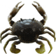 Savage Gear 3D TPE Crab Soft Bait, Pack of 1, 3in, Natural Peeler, 1587136