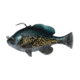 Savage Gear Pulse Tail Bluegill RTF Soft Bait, Pack of 1, 3in, Crappie, 1586282