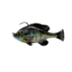 Savage Gear Pulse Tail Bluegill RTF Soft Bait, Pack of 1, 3in, Ghost Gill, 1586272