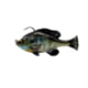 Savage Gear Pulse Tail Bluegill RTF Soft Bait, Pack of 1, 3in, Ghost Gill, 1586272