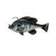 Savage Gear Pulse Tail Bluegill RTF Soft Bait, Pack of 1, 4in, Light Gill, 1585588