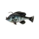 Savage Gear Pulse Tail Bluegill RTF Soft Bait, Pack of 1, 4in, Light Gill, 1585588