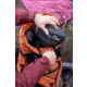 Sea to Summit Spark Pro Down 30F/-1C Sleeping Bag, Regular, Beluga Black, Regular, S2151