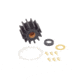 Sierra International 18-3089 Water Pump Kit, 18-3089